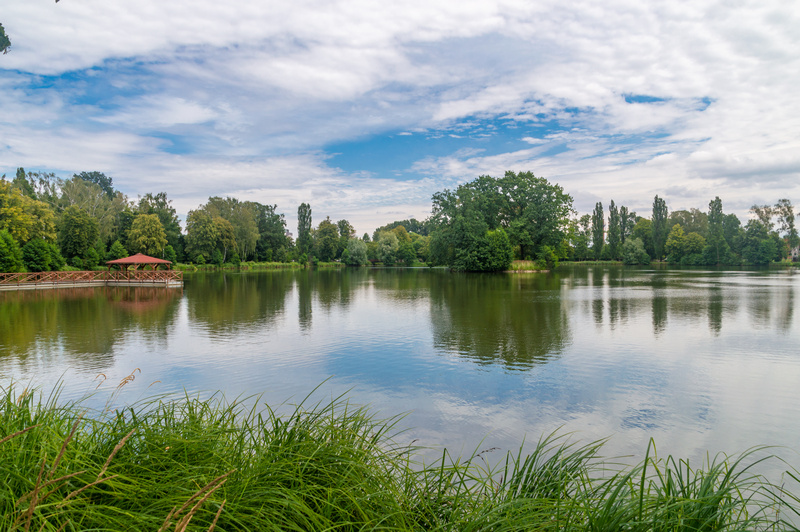 Widok na jezioro w Zgierzu