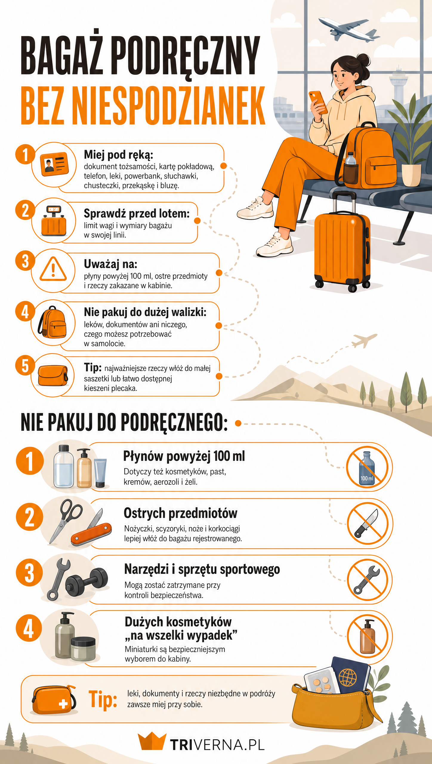 Bagaż podręczny infografika