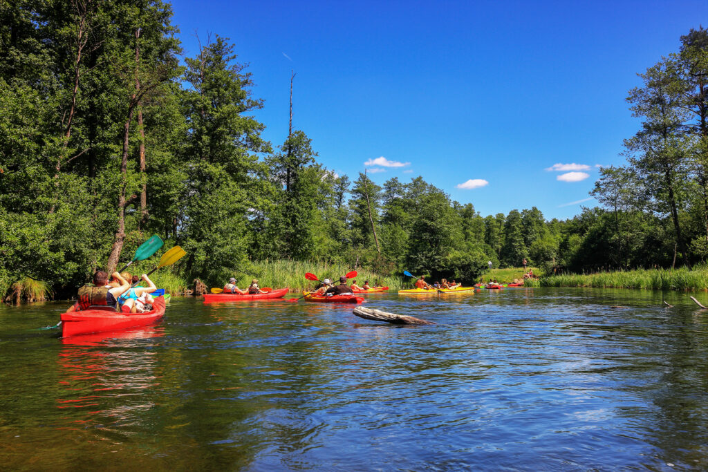 Spływy Bardo – rafting i kajaki Przełomem Bardzkim: kompleksowy przewodnik