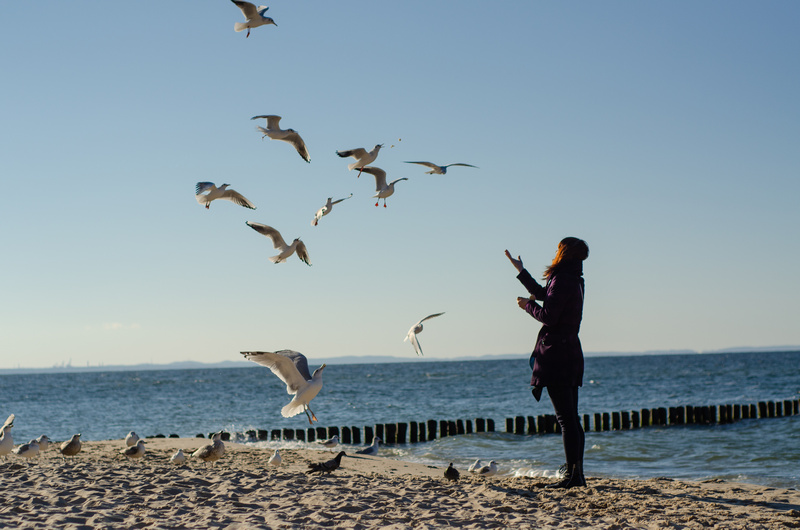 Kobieta karmiąca mewy na plaży