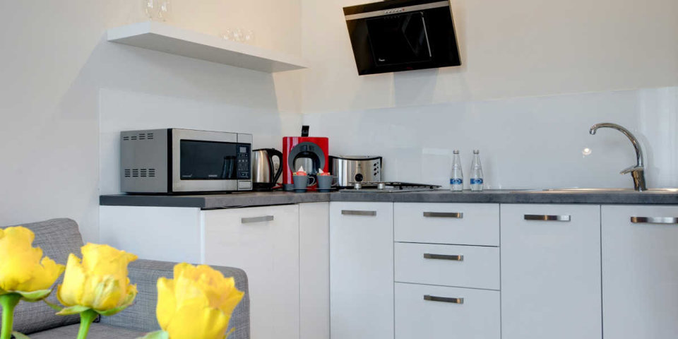 Apartamenty wyposażone są w kuchnię z lodówką, płytę grzewczą i mikrofalę