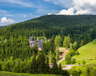 Hotel znajduje się wśród lasów i gór