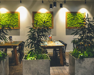 Kameralna część restauracji wydzielona roślinnością