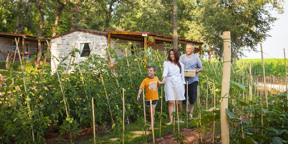 Premium Istrian Village posiada własny ogród warzywny