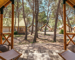 Stylowe bungalowy rozmieszczono pomiędzy śródziemnomorskimi sosnami
