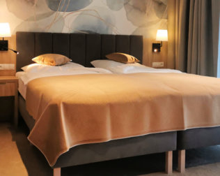 Pokoje LUX są urządzone w ciepłej tonacji, aby zapewnić komfort i odprężenie