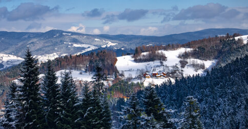 Zimą w okolicy Piwnicznej można spacerować i jeździć na nartach