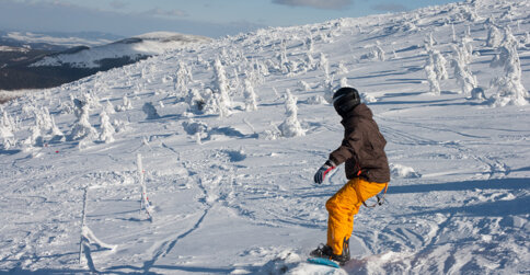 Najbliższy stok narciarski znajduje się zaledwie 600 m od Instytutu