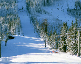 Najbliższy wyciąg narciarski znajduje się 500 m od Apollo & SPA Karpacz