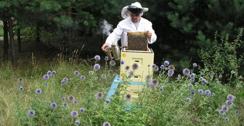 Wyróżnia go zamiłowanie do pszczelarstwa - jest tu skansen z ulami i muzeum