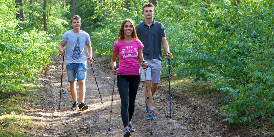 Można również wybrać się na piesze wycieczki z kijkami Nordic Walking