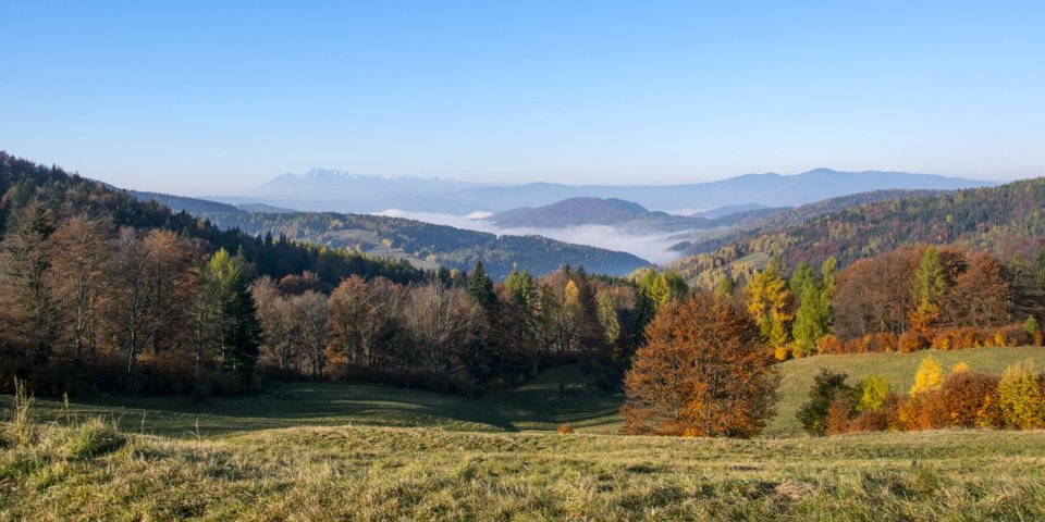Krynica-Zdrój otoczona jest malowniczymi górami Beskidu Sądelskiego