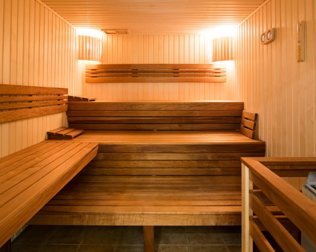 Dla gości dostępna jest m.in. sauna sucha