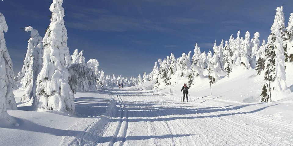 Góry Opawskie dysponują licznymi trasami narciarstwa biegowego