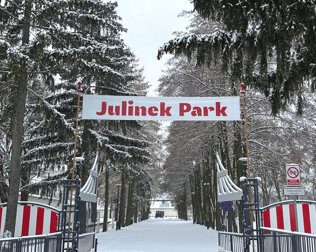 Zimą w Julinku są organizowane ogniska i spotkania z alpakami