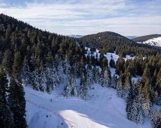 W okolicy jest ponad 10 km tras narciarskich i świetne warunki na skitury